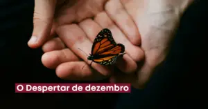 o despertar de dezembro